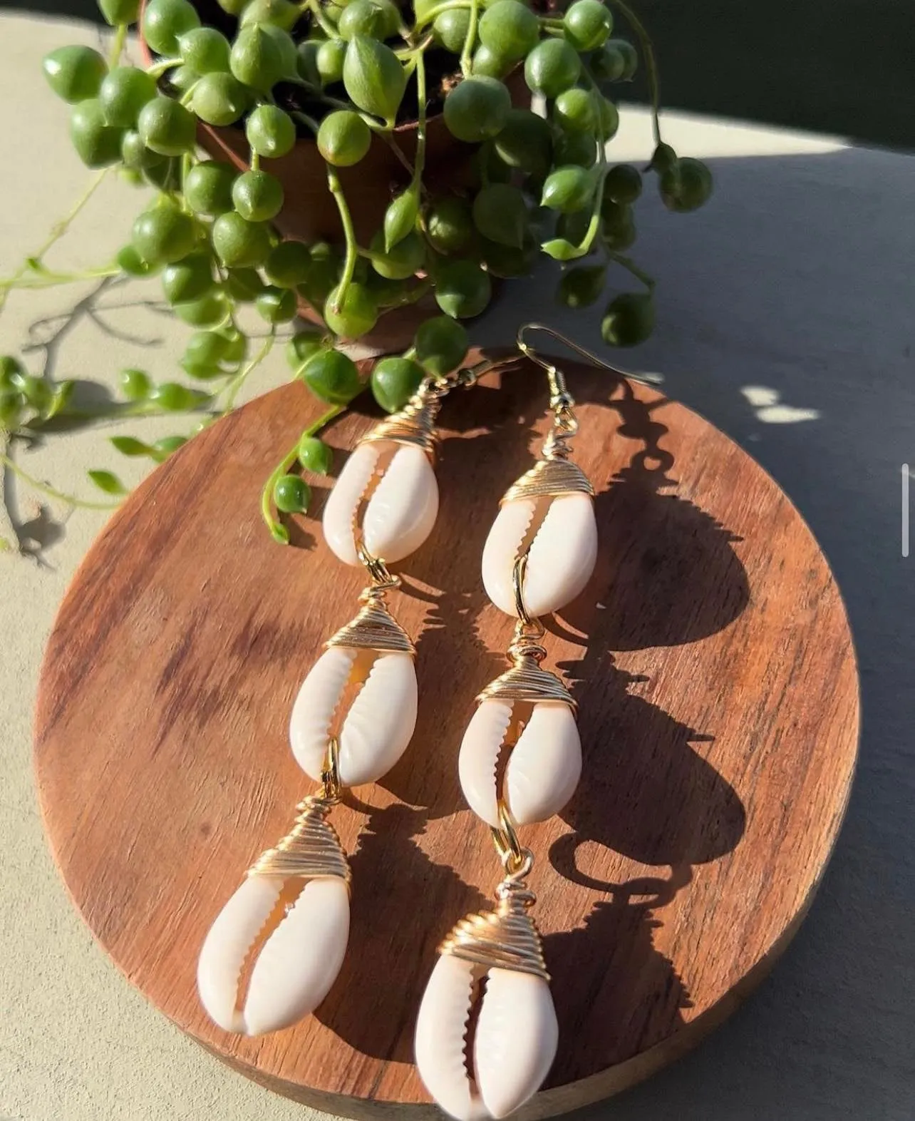 Cowrie Shell Earring