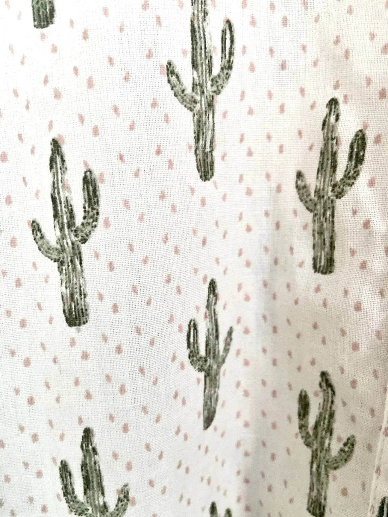 Soft Autumn Cactus Print Shirt